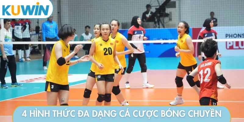 4 hình thức đa dạng cách cá cược bóng chuyền