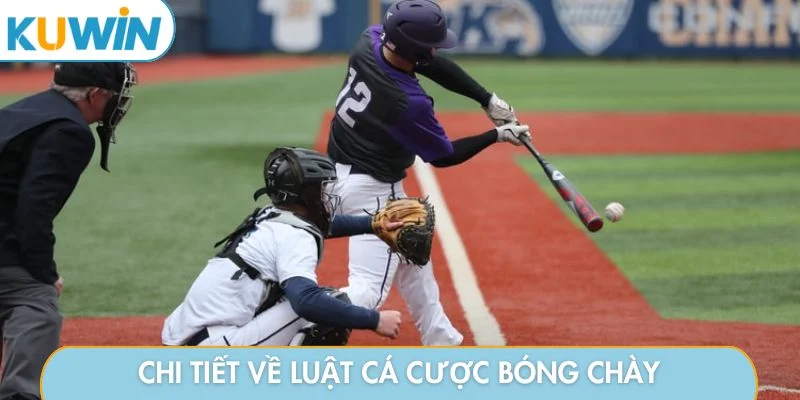 Chi tiết về luật cá cược bóng chày
